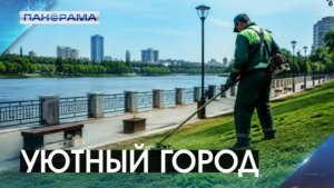 Коммунальщики вышли на борьбу с зарослями: какие места отдыха в Донецке преобразились?