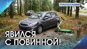 Неудачные прятки в лесополосе Макеевки: водитель сбил самокатчика и попытался скрыться!