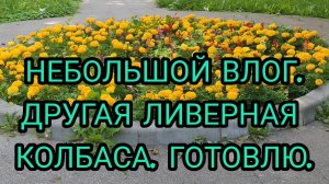 НЕБОЛЬШОЙ ВЛОГ. ОТЗЫВ НА ЛИВЕРНУЮ КОЛБАСУ. ГОТОВЛЮ. НОВЫЕ СЕРЬГИ.