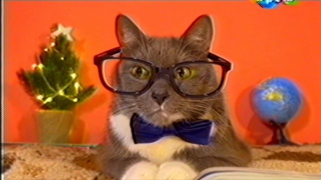 Реалистичный вхс для видео!