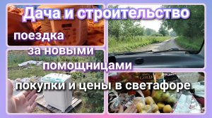 Новые помощницы//цены в светофоре