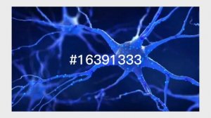 ТОП 86000000000 НЕЙРОНЫХ КЛЕТОК В ЧЕЛОВЕЧЕСКОМ МОЗГЕ