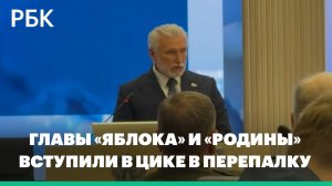 Главы «Яблока» и «Родины» вступили в ЦИКе в перепалку о прекращении огня