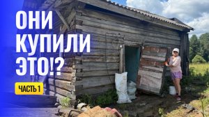 Они купили ЭТО!?😲 часть 1