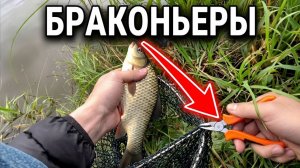 Нашел чужую сеть и спас рыбу! Браконьеры погубили бы её