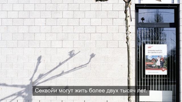 Сливки общества 1