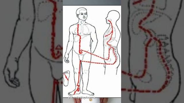 Специалисты нового времени