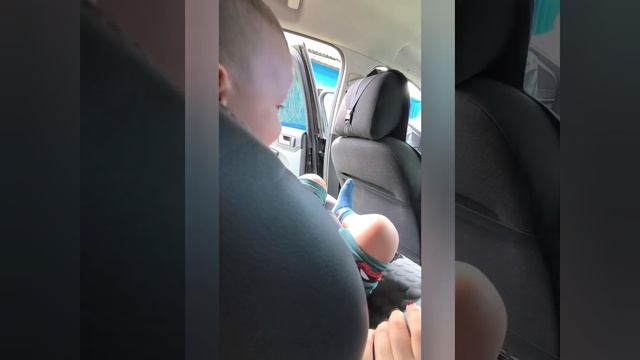 поездка в деревню и прогулки у дома