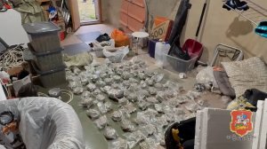 У наркоагронома из подмосковной деревни Дулово полиция изъяла 9 кг приготовленной к сбыту марихуаны