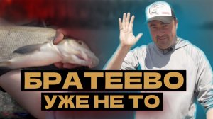 Рыбалка на фидер. Братеевский лещ уже не тот!