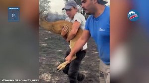 Мощный лесной пожар бушует в 60 км от АЭС во Франции