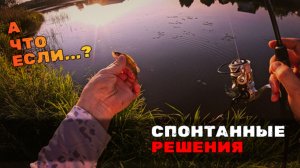 Нарушенные планы. Может ли Nautilus Shikari в мормышинг?