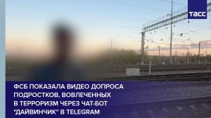 ФСБ показала видео допроса подростков, вовлеченных в терроризм через чат-бот «Дайвинчик» в Telegram