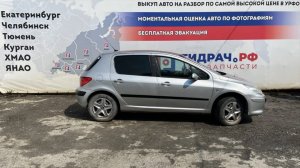 Обзор перед разбором Peugeot 307