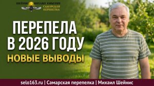 Перепела в 2026 году: выводы по кормлению и содержанию