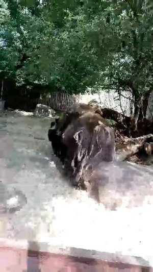 зоопарк