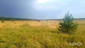 Поход в Пушкари | Поля | Храм Святого Николая Чудотворца на реставрации
