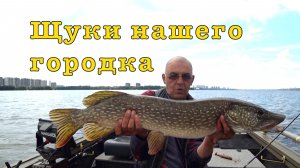 Ловля ЩУКИ из под леща. Поиск по ЭХОЛОТУ.