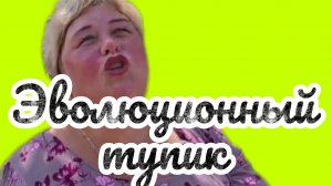 Аналитический обзор на канал Ольга Уралочка live от 28 июля 2026 года. Эволюционный тупик.