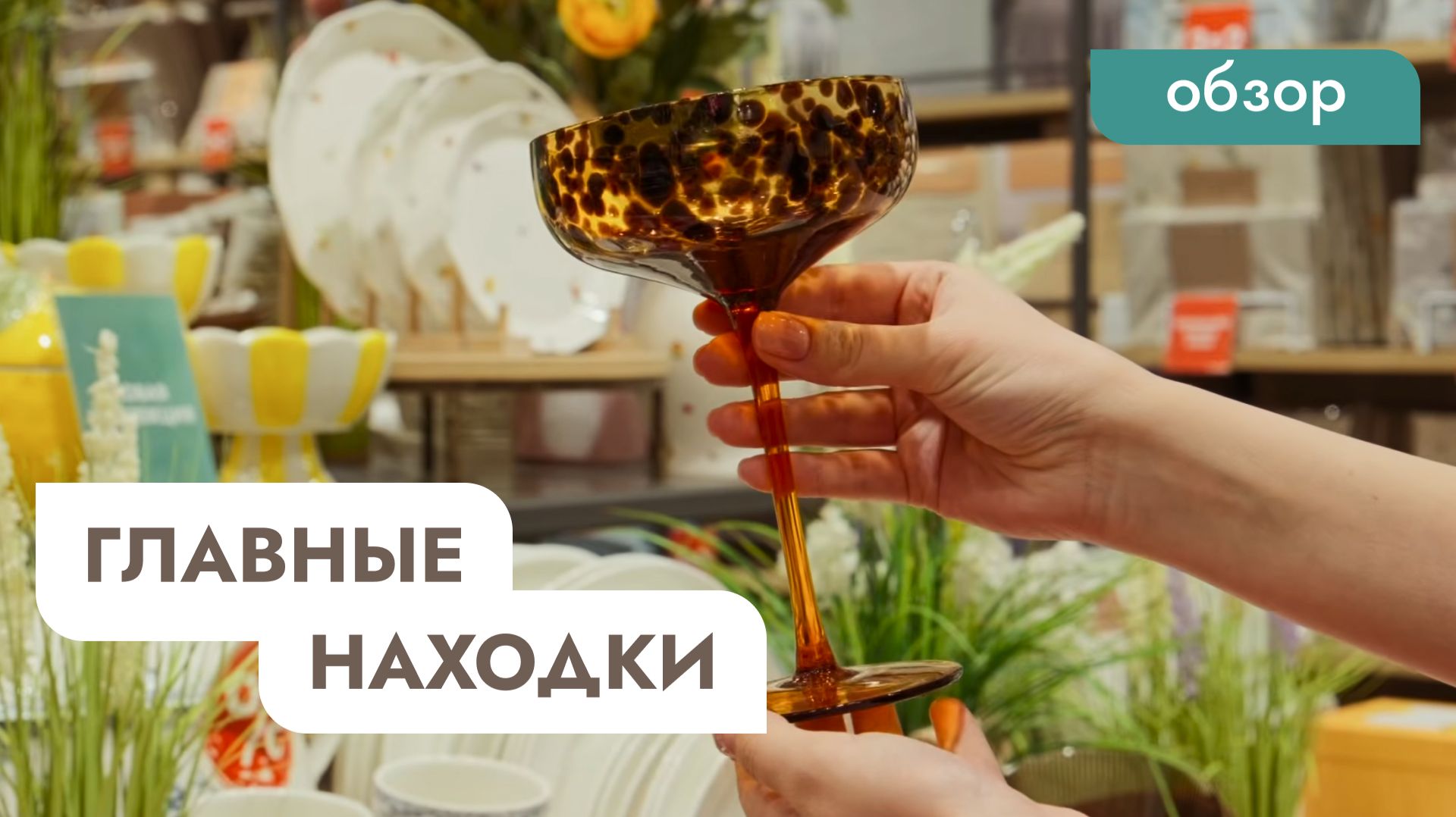 Осторожно: после этого видео захочется всё купить. Обзор Cozy Home