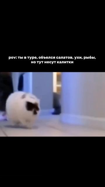 Карельские калитки попадают не в желудок, а сразу в сердце