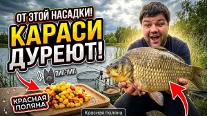 Рыбалка на Красной поляне. Караси дуреют от этой насадки!