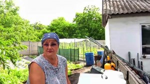 Собрала урожай , крымский лук порадовал , нам  много не бывает...