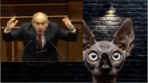 Пашинян позвонил Путину. Гордону позвонили отовсюду / Кот Костян от 29.07.26