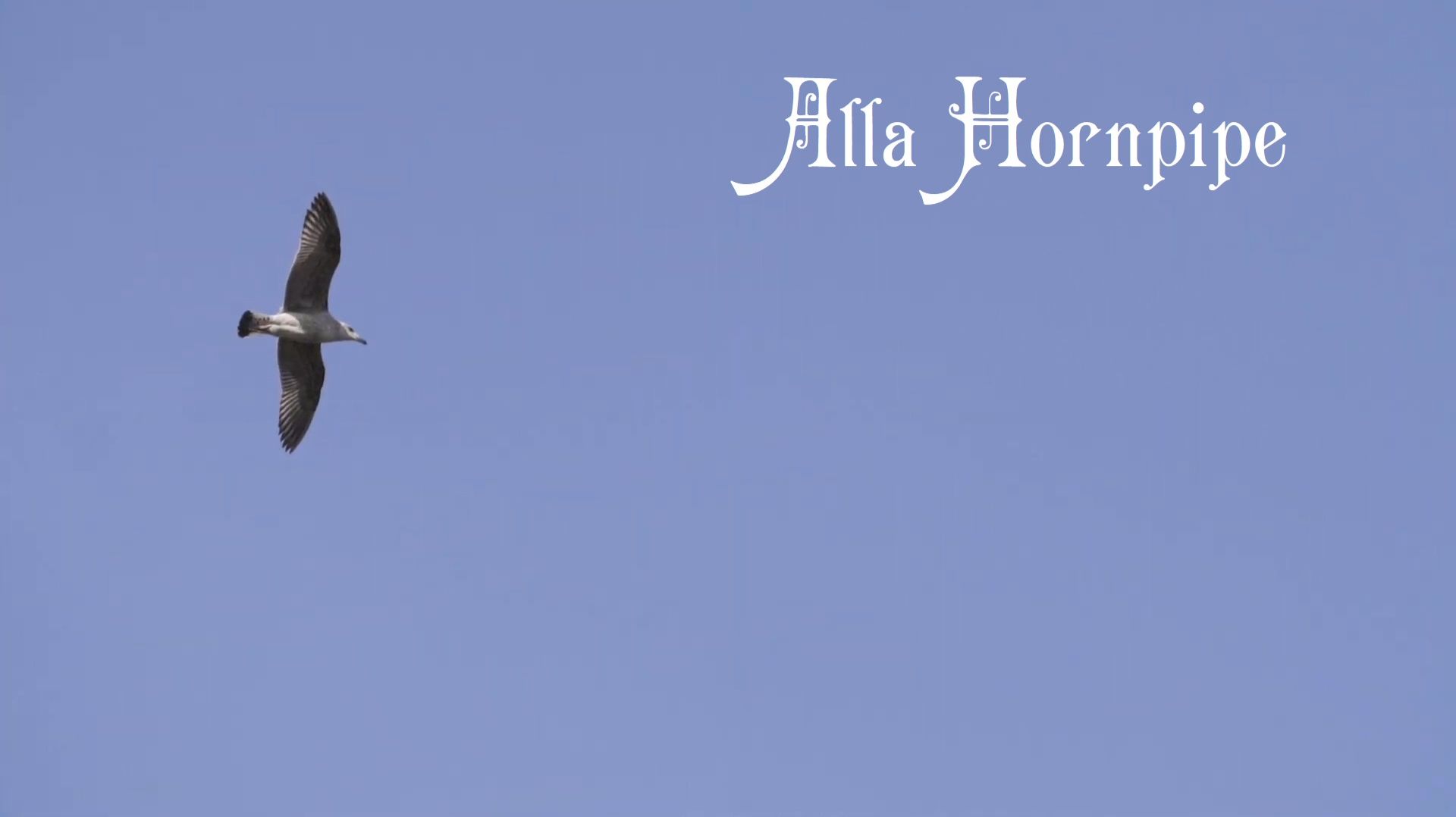 Alla Hornpipe (from Water Music, Suite №2) (G.Fr.Händel) Classical Guitar
