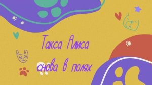 Такса Алиса снова в полях, она под надёжной защитой от блох и клещей