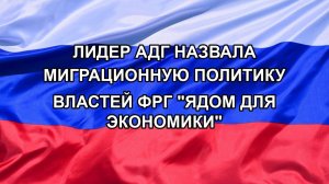 |Н. РФ| Лидер АдГ назвала миграционную политику властей ФРГ «ядом для экономики»