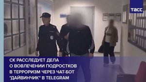 СК расследует дела о вовлечении подростков в терроризм с помощью чат-бота «Дайвинчик» в Telegram