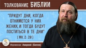 «Придут дни, когда отнимется у них жених, и тогда будут поститься в те дни». Иером. Аверкий (Белов)