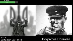 Стрим из Центра по сумеркам