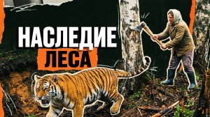 НАСЛЕДИЕ ЛЕСА | РАССКАЗ