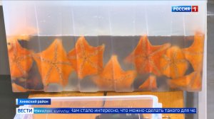 «Вести. Сахалин. Курилы». 28 июля 2026 года