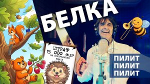 Белка (пилит-пилит-пилит)
