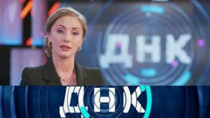 ДНК. «Тайна бойца СВО: дочь из ниоткуда». От 29 июля 2026. Обзор