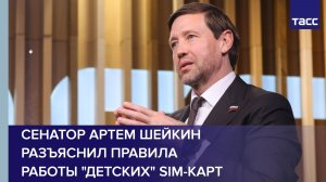 Сенатор Артем Шейкин разъяснил правила  работы «детских» sim-карт