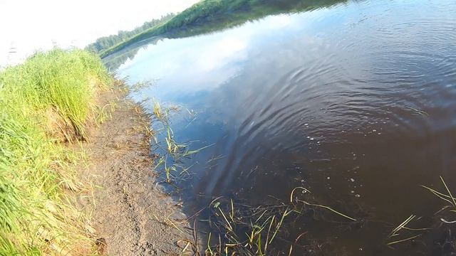 За карасём на луга. Рыбалка на лугах.Поплавок