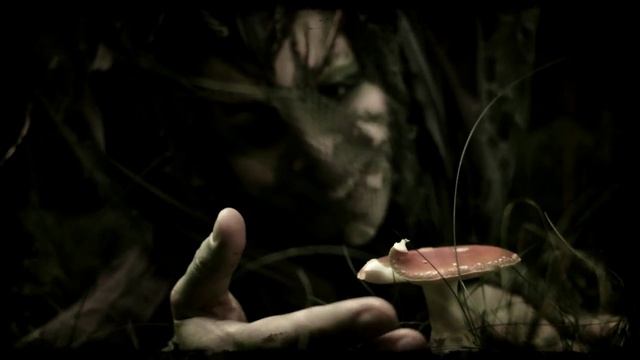 Aethernaeum - Heimreise (Ein Requiem)