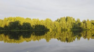 После дождя. Река Шуя. 28 июля.