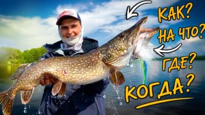 Как ловят чемпионы?! Все секреты для успешной рыбалки