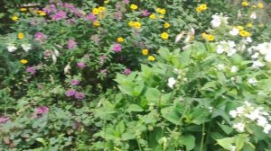 КРАСОТА ☀️🌹☀️❗❗❗ ЗДОРОВЬЕ 😷☝️❗И МНОГО ВАМ УЛЫБОК😄😄😄🌹🌹🌹❗❗❗