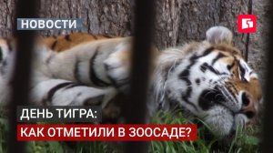 Полосатый праздник в зоосаде: конкурс, аукцион и тигриный пир.29/07/2026