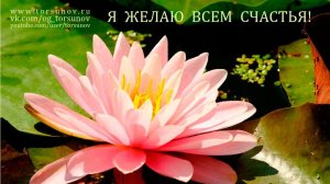 Молитва за мир во всем мире! Live 29.07.2026