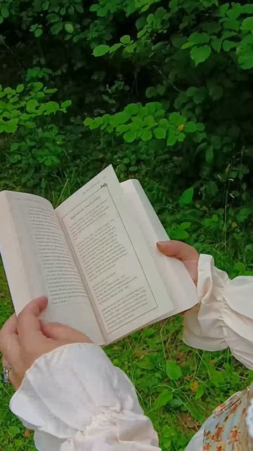 Летняя прогулка по лесу