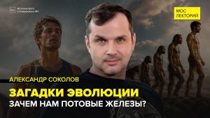 Загадки эволюции | Александр Соколов Лекция 2026 | Мослекторий
