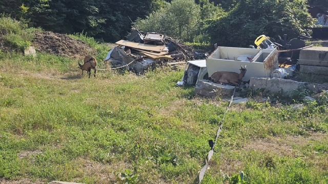 278.Анапа.Снова на дачеработы полноустали и пошли в Бассейни соседку взяли.И вот мы в Анапе.