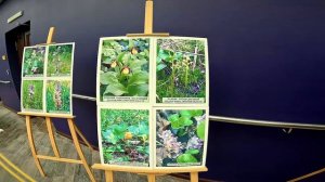В 150 школах Верхневолжья появятся «Школьные ботанические лаборатории»
